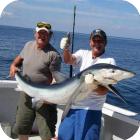 Дрифтинг – ловля синей акулы и морской лисицы